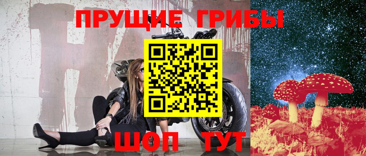Зима  Псилоцибиновые грибы Psilocybe  Галлюциногенные грибы ЛСД  Вход с VPN 