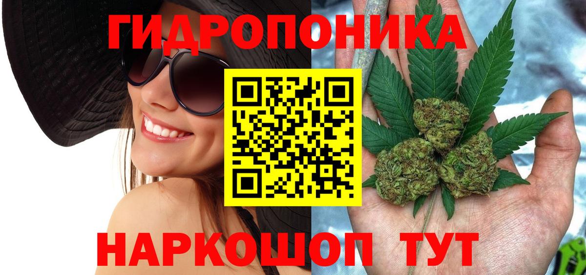 Зима  Каннабис ГИДРОПОН  Бошки Шишки гибрид  МАРИХУАНА индика  Вход с VPN 